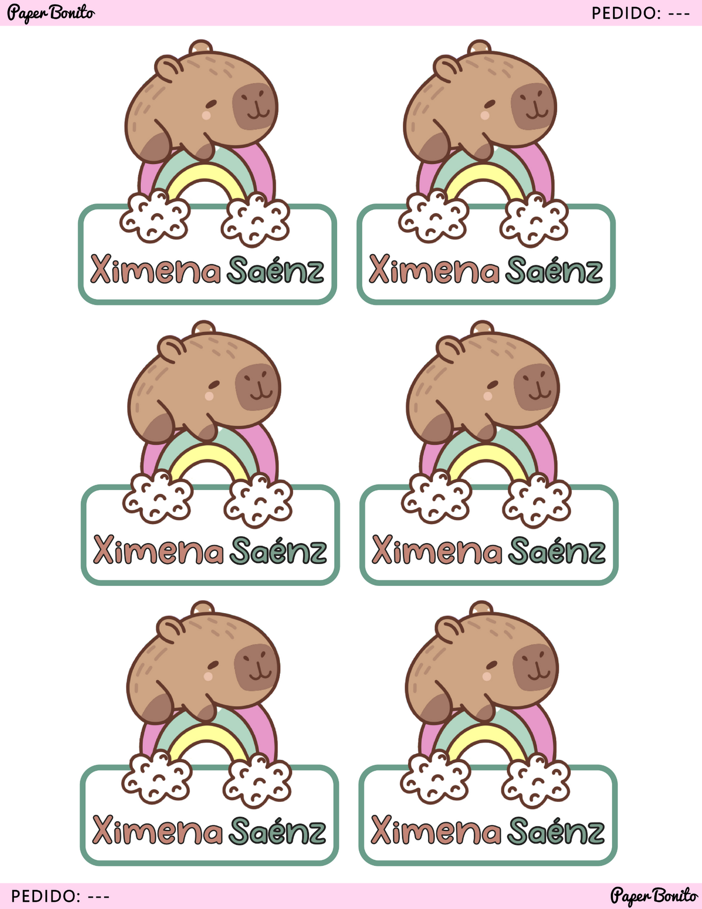 Capibara Rainbow